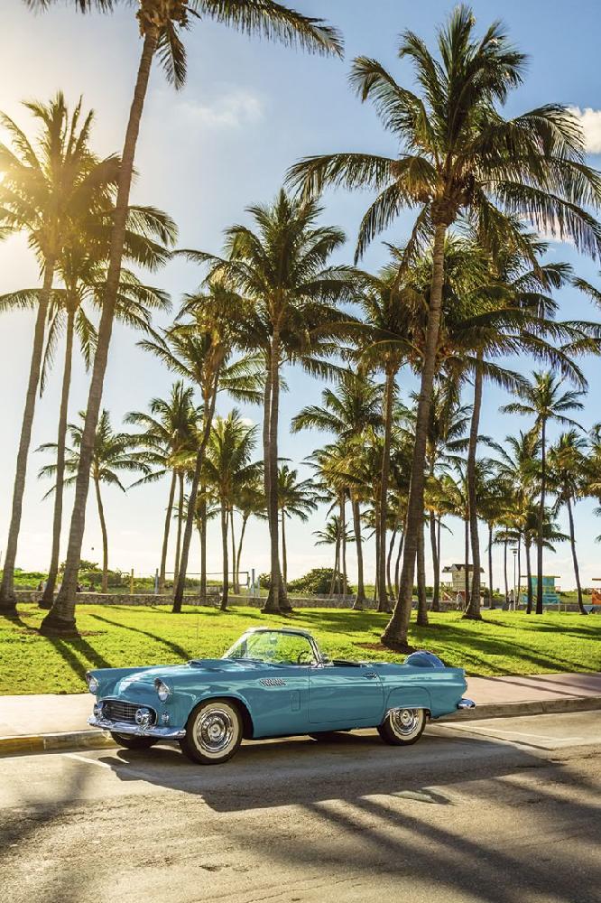 Ford Thunderbird en California