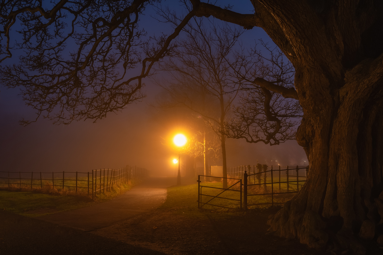 Camino iluminado en una noche con niebla