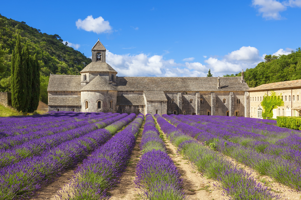 Abadía de Senanque y los campos de lavanda